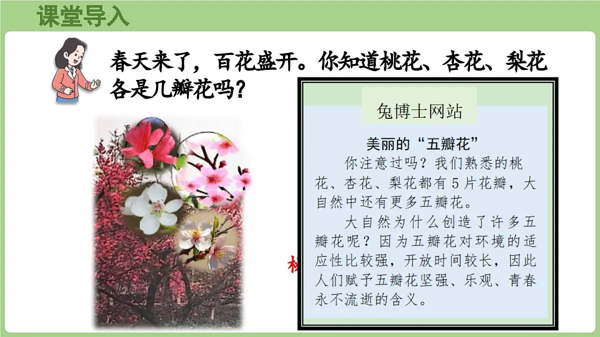 冀教版数学二年级上册3.1.1 5的乘法口诀 (课件)第4页