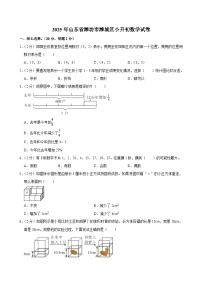 2025年山东省潍坊市潍城区小升初数学试卷