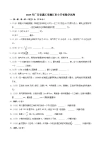 2025年广东省湛江市廉江市小升初数学试卷