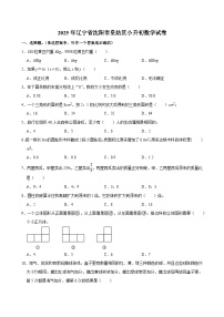2025年辽宁省沈阳市皇姑区小升初数学试卷