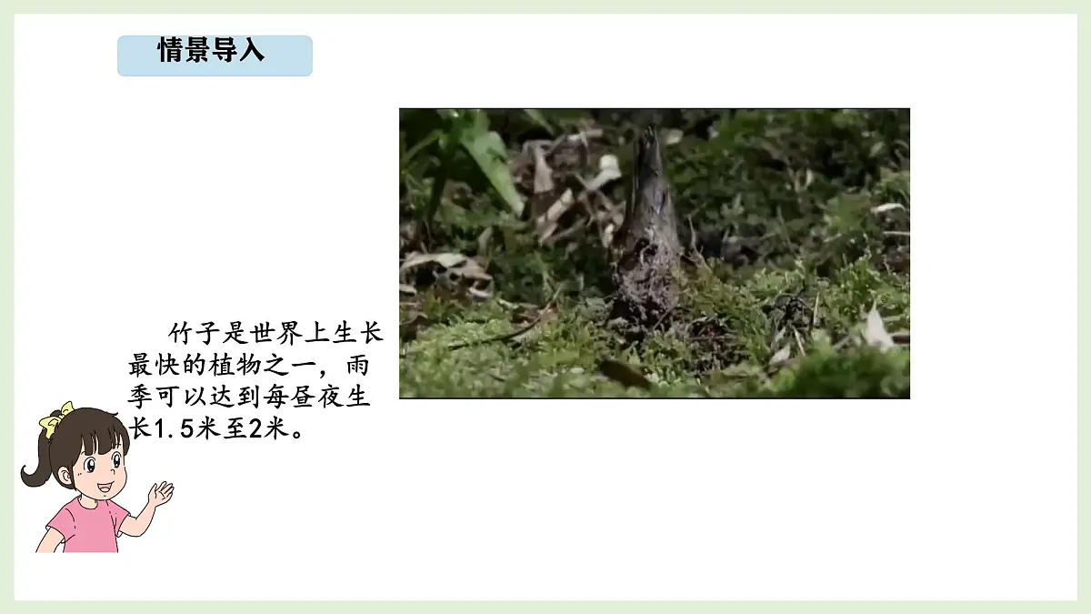 7.5 竹子的生长 (课件)2025-2026学年北师大三年级数学上册第3页