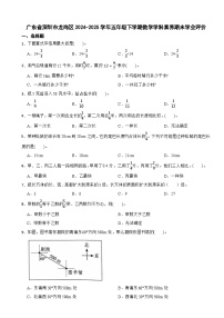 广东省深圳市龙岗区2024-2025学年五年级下学期数学学科素养期末学业评价试卷