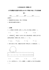 江苏省南京市三牌楼小学小升初模拟考试数学试卷2025年下学期六年级（不含答案解析）