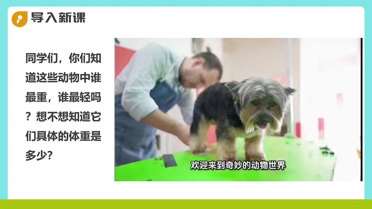 冀教版三年级上册数学第二单元(2.笔算乘法)5《三位数乘一位数-动物体重(一)》课件第4页