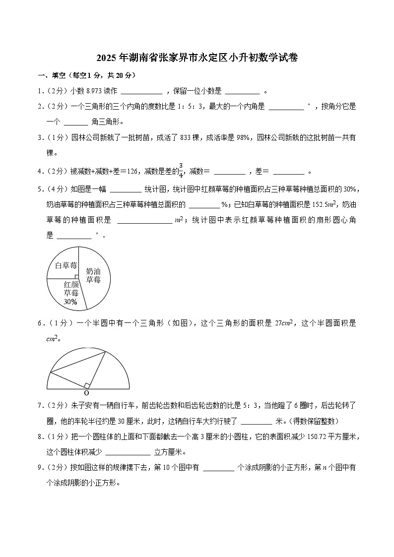 2025年湖南省张家界市永定区小升初数学试卷第1页
