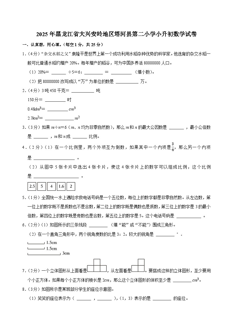 2025年黑龙江省大兴安岭地区塔河县第二小学小升初数学试卷第1页