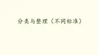 人教版（2024）二年级上册（2024）一 分类与整理说课ppt课件
