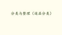 数学二年级上册（2024）一 分类与整理教课内容ppt课件