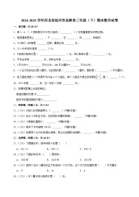 2024-2025学年河北省沧州市吴桥县三年级（下）期末数学试卷