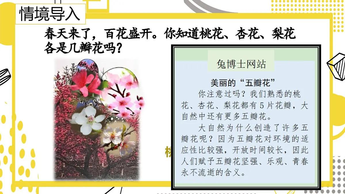 3.1.1++5的乘法口诀(课件)数学冀教版二年级上册(2025)第3页