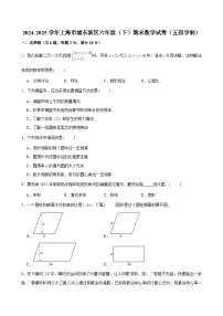 2024-2025学年上海市浦东新区六年级（下）期末数学试卷（五四学制）（含解析）