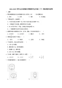 2024-2025学年山东省烟台市海阳市五年级(下)期末数学试卷