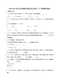 2024-2025学年山东省烟台市莱山区五年级（下）期末数学试卷