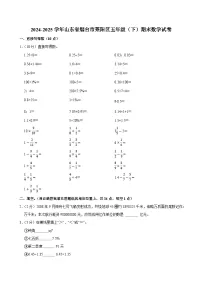 2024-2025学年山东省烟台市莱阳区五年级（下）期末数学试卷