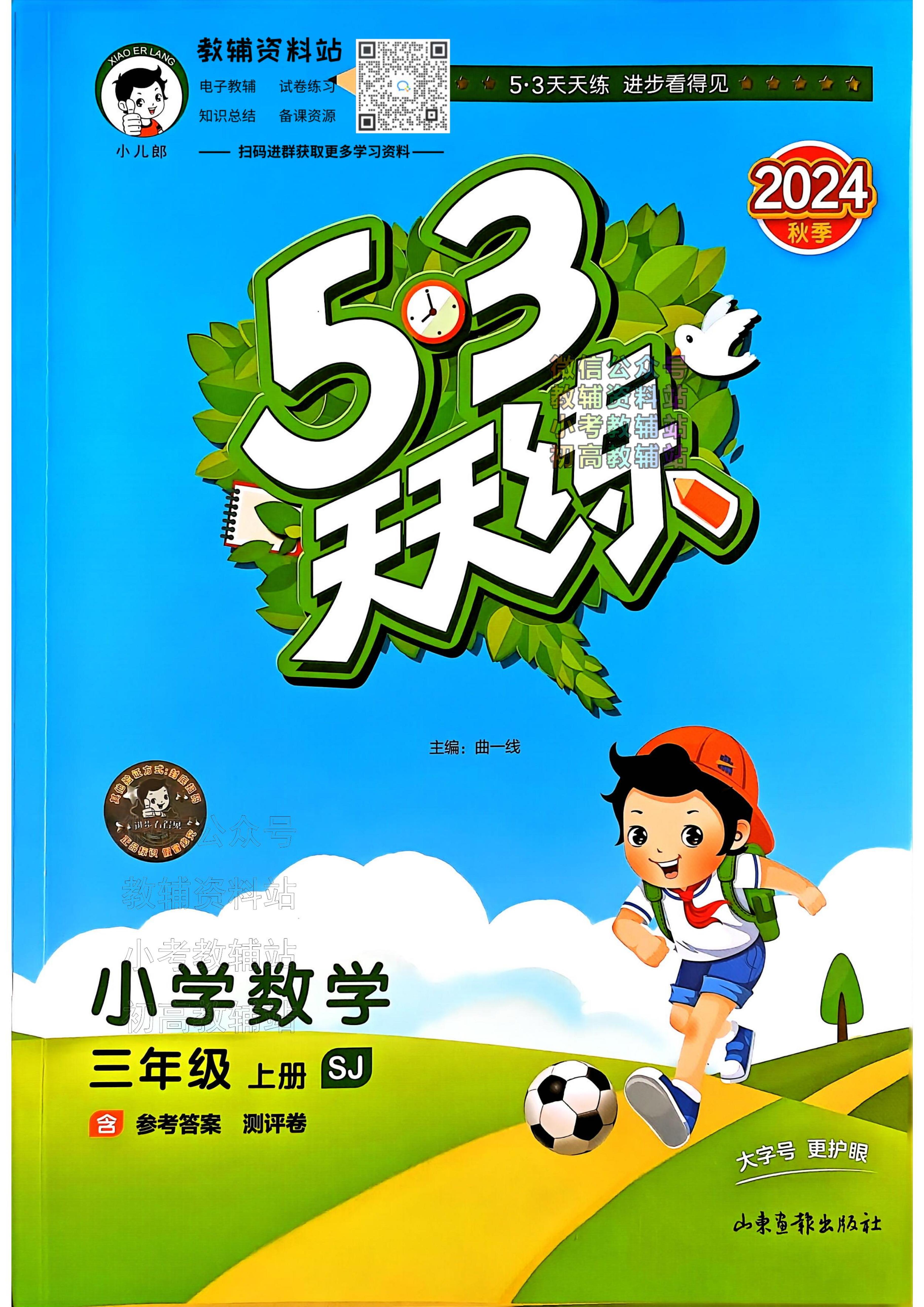 24秋53天天练三年级上册数学苏教版