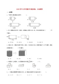 2025年（小升初）六年级下学期数学专项练习—立体图形【附答案】