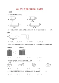 2025年(小升初)六年级下学期数学专项练习—立体图形【附答案】