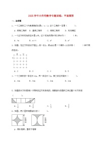 2025年（小升初）六年级下学期数学专项练习—平面图形【附答案】