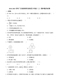 2024-2025学年广东省深圳市龙岗区六年级（上）期中数学试卷