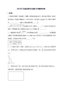 [小升初]2025年广东省东莞市长安镇六年级下册数学试题[附答案]