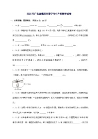 [小升初]2025年广东省揭阳市普宁市六年级下册数学试题[附答案]