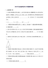 [小升初]2025年山东省枣庄市六年级下册数学试题[附答案]