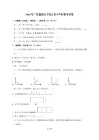 【小升初】2025年广东省茂名市信宜市六年级下册期末数学试题【附答案】