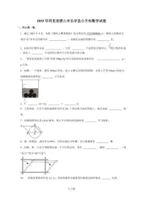 【小升初】2025年河北省唐山市乐亭县六年级下册期末数学试题【附答案】