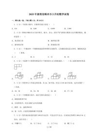 【小升初】2025年湖南省郴州市六年级下册期末数学试题【附答案】