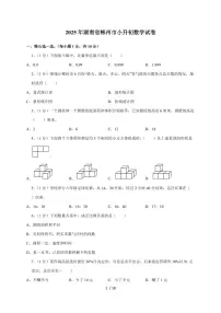 【小升初】2025年湖南省郴州市六年级下册期末数学试题【附答案】