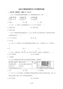 【小升初】2025年湖南省邵阳市六年级下册期末数学试题【附答案】