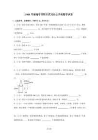 【小升初】2025年湖南省邵阳市武冈市六年级下册期末数学试题【附答案】