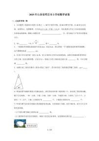 【小升初】2025年山东省枣庄市六年级下册期末数学试题【附答案】