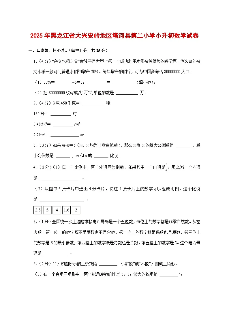 (小升初)2025年黑龙江省大兴安岭地区塔河县第二小学初一新生入学分班考试数学检测试卷(含解析)第1页