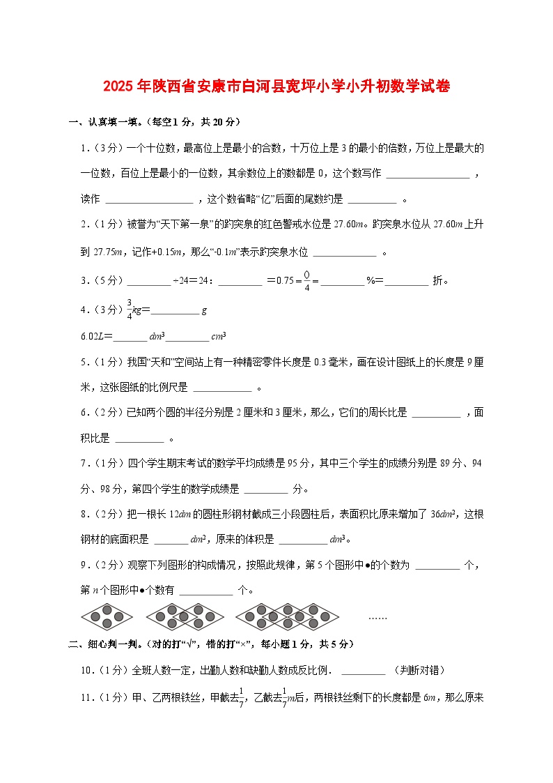 （小升初）2025年陕西省安康市白河县宽坪小学初一新生入学分班考试数学检测试卷（含解析）