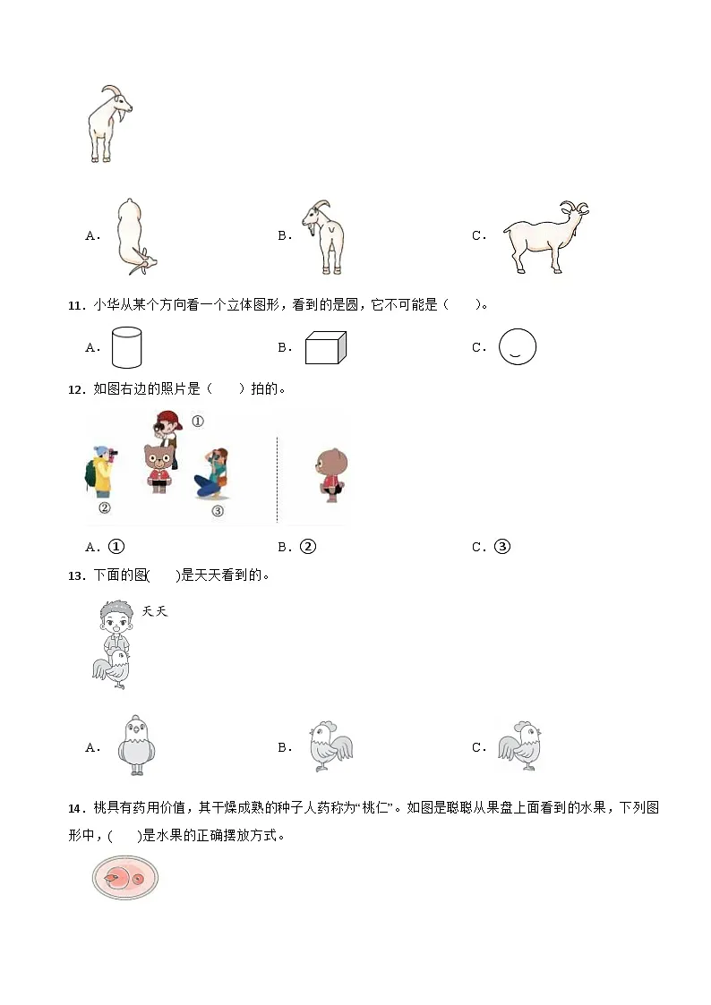 二年级数学上册 第四单元 谁的眼睛亮—观察物体(一) 单元测试题 青岛版(五四制)(2024)(含解析)第3页