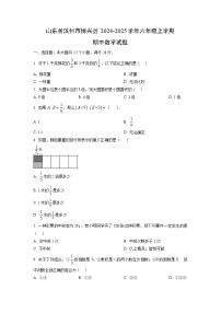 山东省滨州市博兴县2024-2025学年六年级上学期期中数学试卷（学生版）