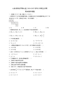 山东省泰安市泰山区2024-2025学年六年级上学期期末数学试卷（学生版）