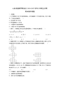 山东省淄博市桓台县2024-2025学年六年级上学期期末数学试卷(学生版)