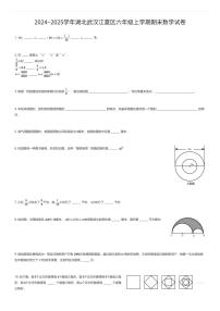 2024~2025学年湖北武汉江夏区六年级上学期期末数学试卷（有答案解析）