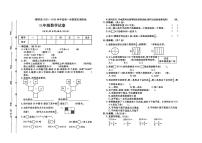 河北省保定市博野县2024-2025学年三年级上学期期末数学试题及答案