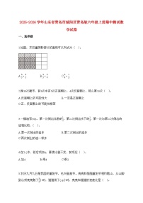 2025~2026学年山东省青岛市城阳区青岛版六年级上学期期中数学试题【附解析】
