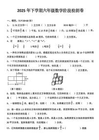 湖南省邵阳市新宁县2025-2026学年六年级上学期阶段检测数学试题（月考）