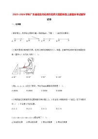 2025_2026学年广东省茂名市化州市北师大版四年级上学期期末数学检测试卷（有解析）