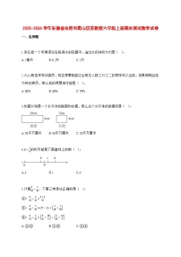 2025—2026学年安徽省合肥市蜀山区苏教版六年级上学期期末数学检测试卷