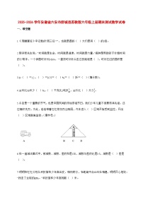 2025—2026学年安徽省六安市舒城县苏教版六年级上学期期末数学检测试卷