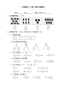 浙江省温州市平阳县2025-2026学年一年级上学期期中反馈练习数学试题
