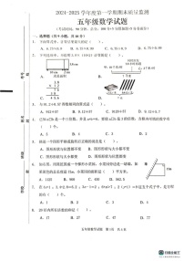 山东省枣庄市峄城区2024-2025学年五年级上学期1月期末数学试题