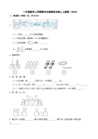 一年级数学上学期期末仿真模拟试卷二人教版（2024）（含解析）