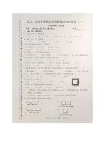 福建省漳州市诏安县桥东片区2025-2026学年五年级上学期12月测试数学试题（月考）